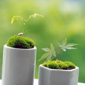 Meet your Posher, Hulda